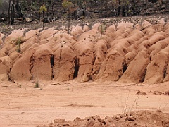 CairnsTC230 Tablelands